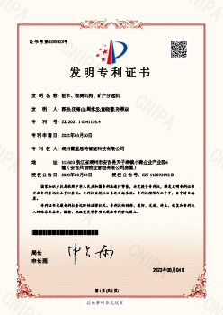 发明专利
