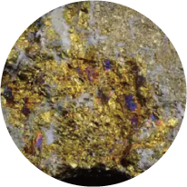 Gold Ore