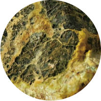Uranium Ore